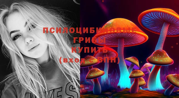 МДПВ Надым