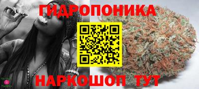 прущие крисы Мариинск