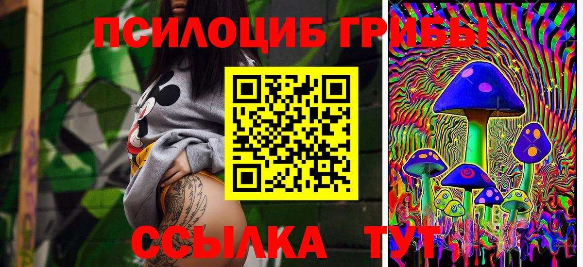 Псилоцибиновые грибы Magic Shrooms Тихвин