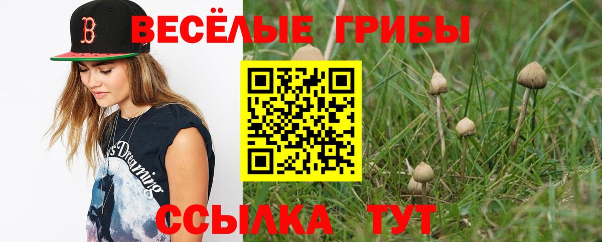 Псилоцибиновые грибы GOLDEN TEACHER  Вход с VPN  Тихвин  Галлюциногенные грибы прущие грибы 